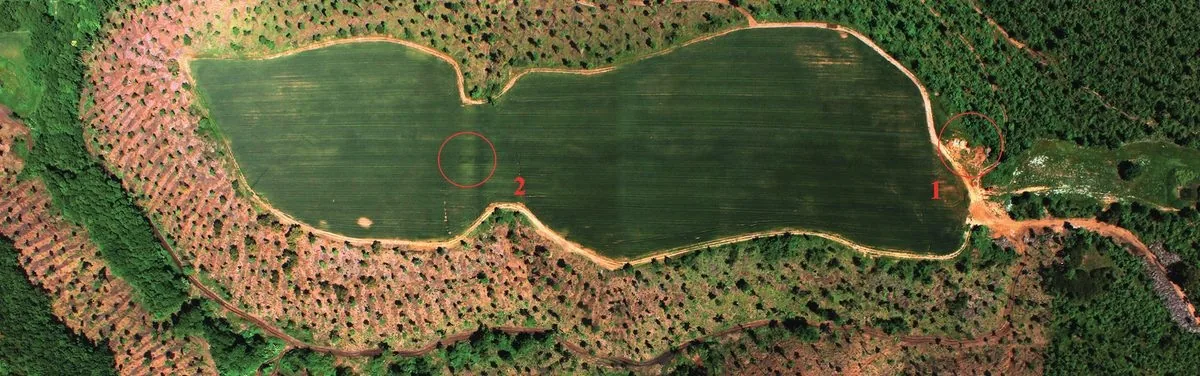 Foto aerea di Colle Rotondo con i due cerchi che indicano le aree di scavo: cerchio 1 aggere orientale, cerchio 2 aggere occidentale