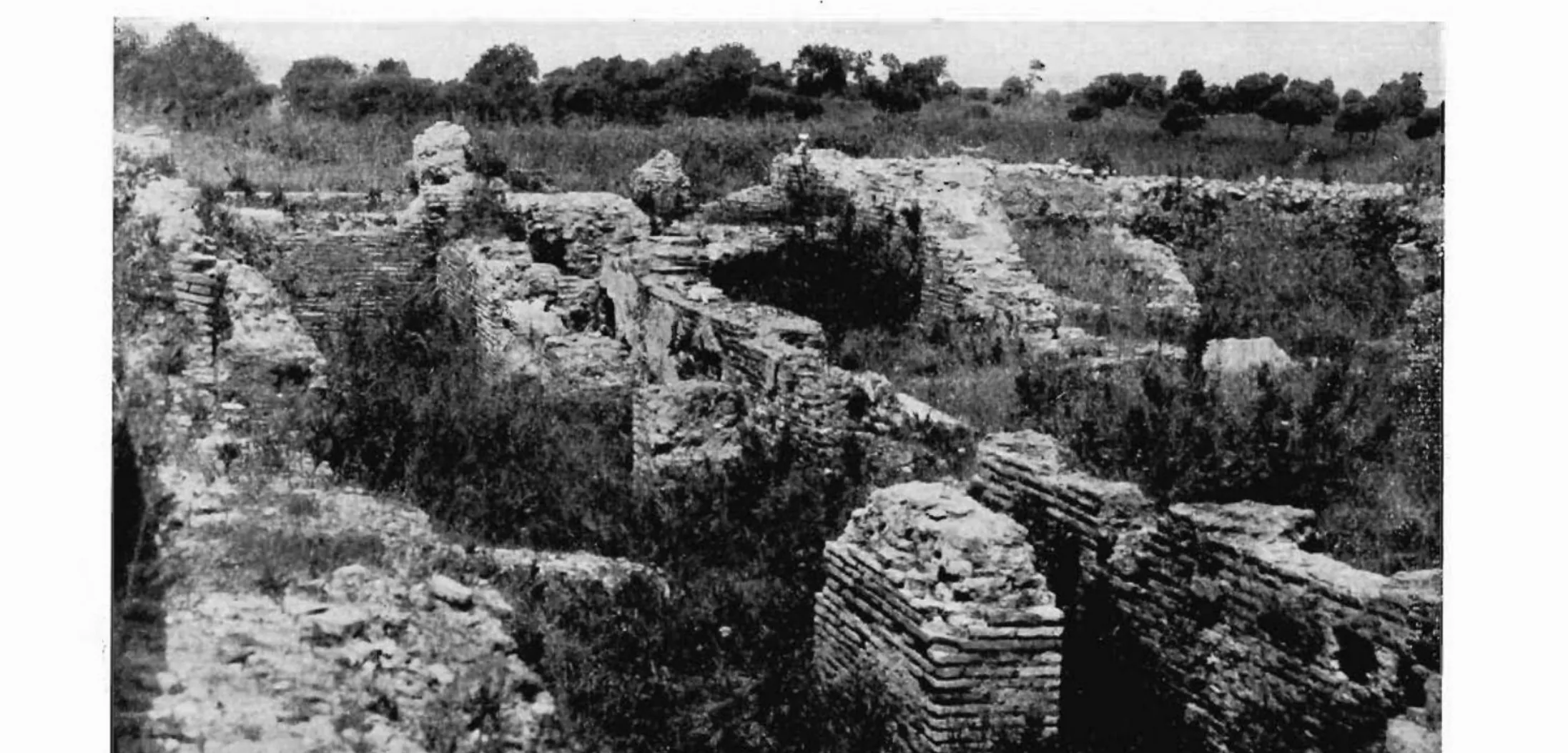 Fotografia del 1940 degli avanzi del teatro imperiale di Antium sul pianoro della città alta, con murature in laterizio tra la vegetazione