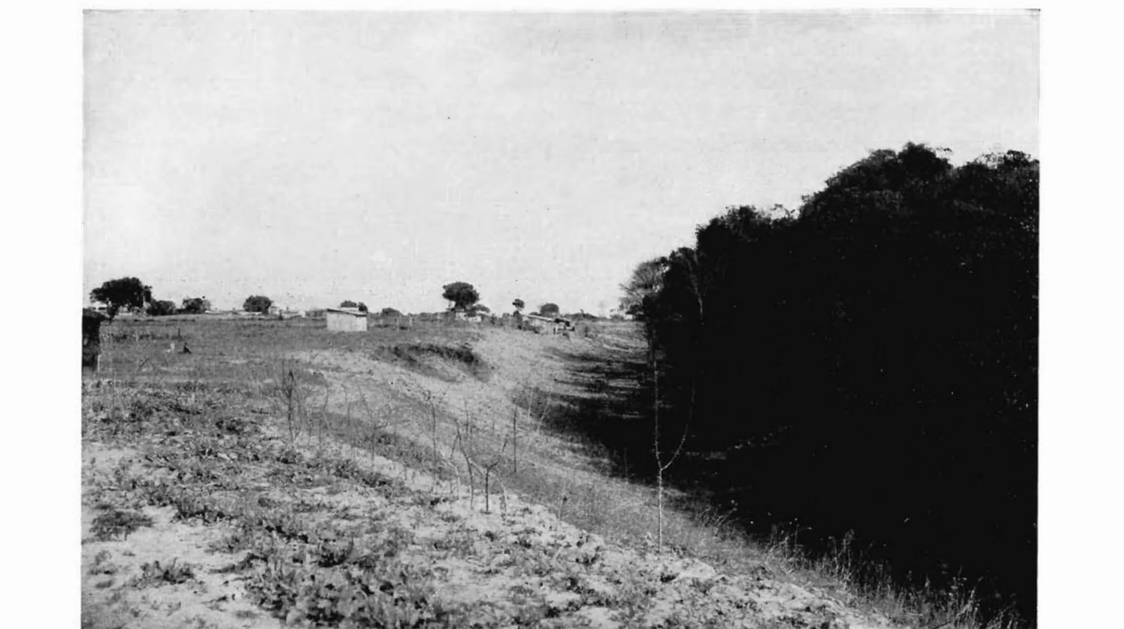 Fotografia del 1940 del vallo di Antium nel lato settentrionale, con l'aggere coperto di vegetazione e la campagna coltivata