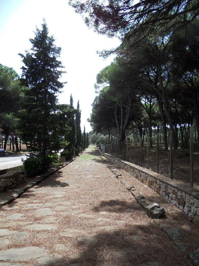 Il basolato romano della Selciatella tra i pini della pineta della Campana, presso Nettuno